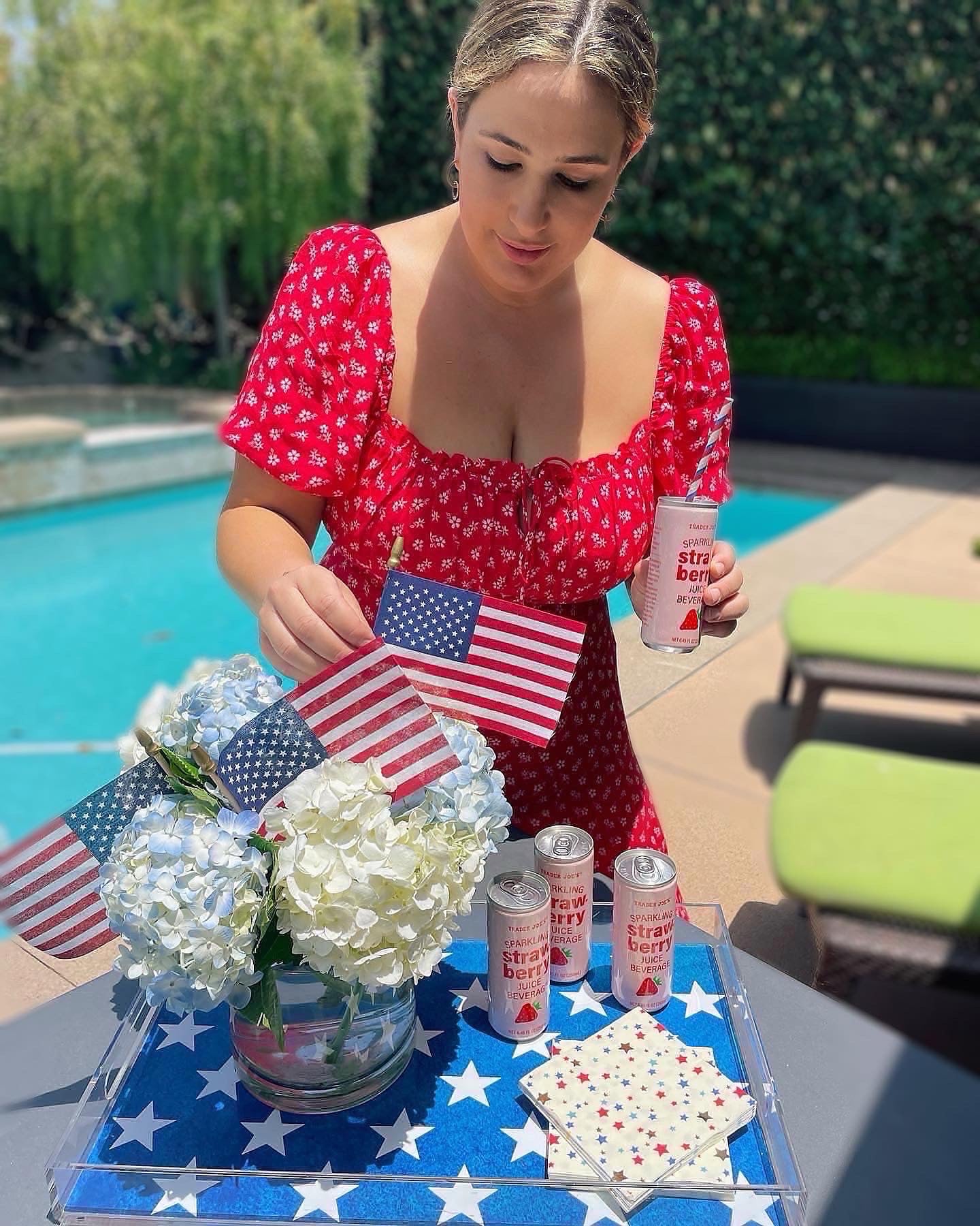 Stars & Stripes Reversible Insert