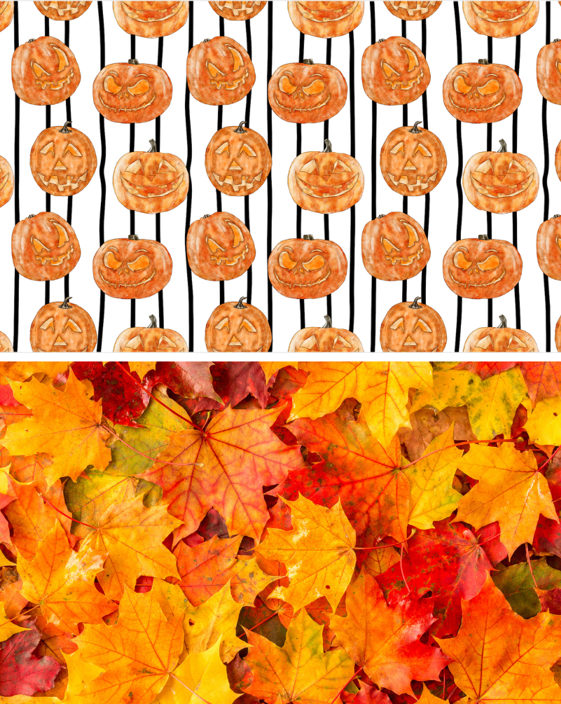 Pumpkin Spice Reversible Insert